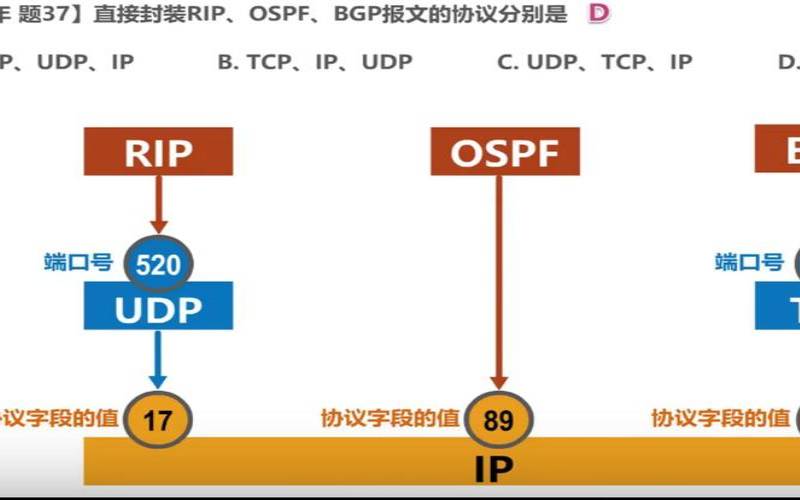 bgp边界网关协议实训,边界网关协议构造原理 bgp边界网关协议实训,边界网关协议构造原理