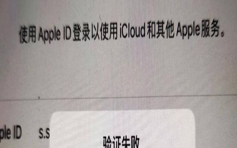 海外服务器是什么意思（苹果的服务器在哪个国家）