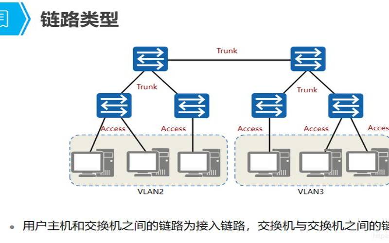 交换机trunk的作用（局域网交换机的工作原理）