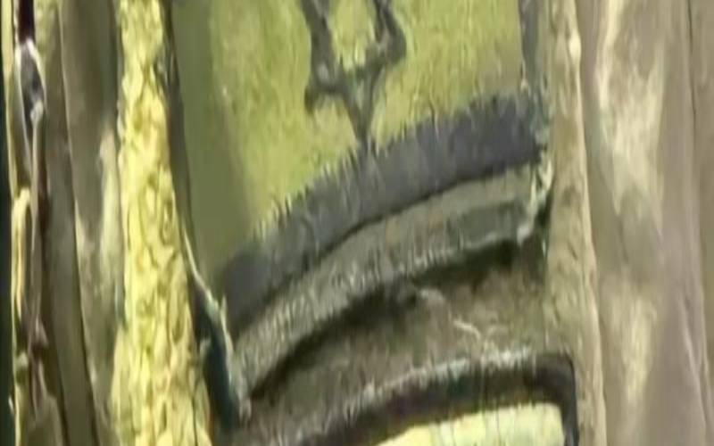 以色列网络怎么样,以色列哪种手机信号好 以色列网络怎么样,以色列哪种手机信号好