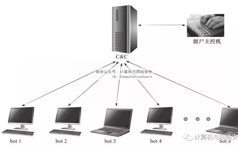 美国网站服务器防止僵尸网络的防护方式（服务器防护的几个方法）