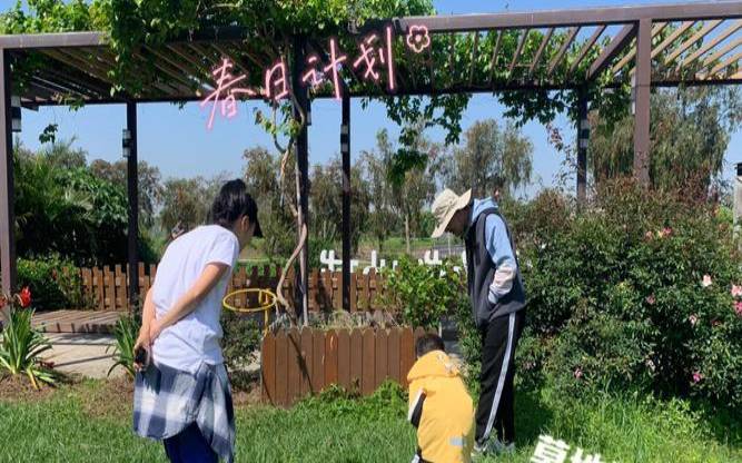 阿里云云小蜜（寻宝游戏怎么玩）
