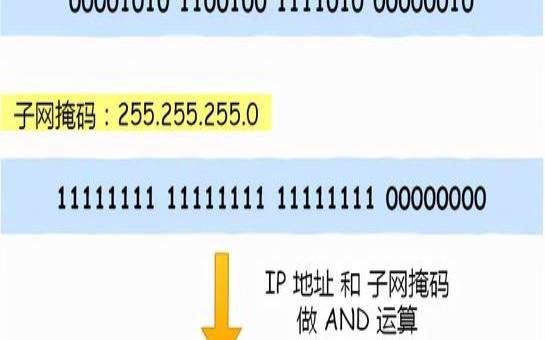 ElementorHosting怎么样（微型主机和普通主机的区别）