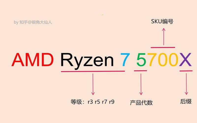 阿里云神龙计算团队怎么样（服务器不用AMD的CPU）