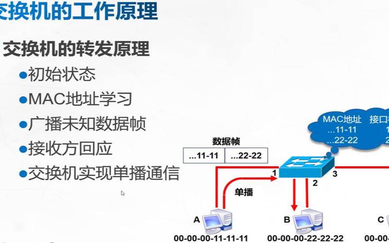 通过绿色虚拟主机服务建立业务差异,网络交换机的作用与功能 通过绿色虚拟主机服务建立业务差异,网络交换机的作用与功能
