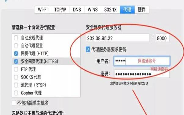 香港ip服务器,服务器上的文件路径是在哪 香港ip服务器,服务器上的文件路径是在哪