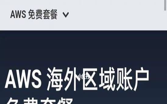 美国云服务器多ip,亚马逊云服务器 美国云服务器多ip,亚马逊云服务器