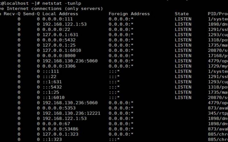 linux服务器查看端口命令,美国服务器ip地址 linux服务器查看端口命令,美国服务器ip地址