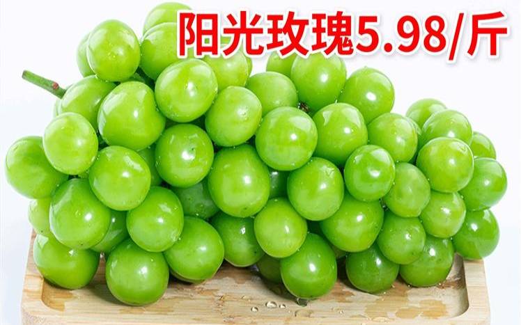 ToSpeed端午促销全场终身2022折,全场打折的广告 ToSpeed端午促销全场终身2022折,全场打折的广告