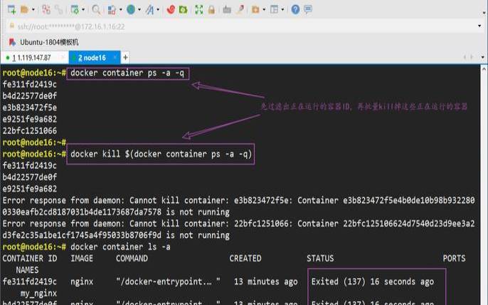 天翼云docker,docker进入容器 天翼云docker,docker进入容器