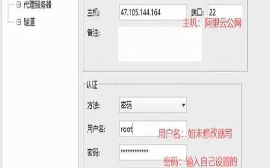 宝塔面板提示安装web服务器（宝塔搭建文件服务器）