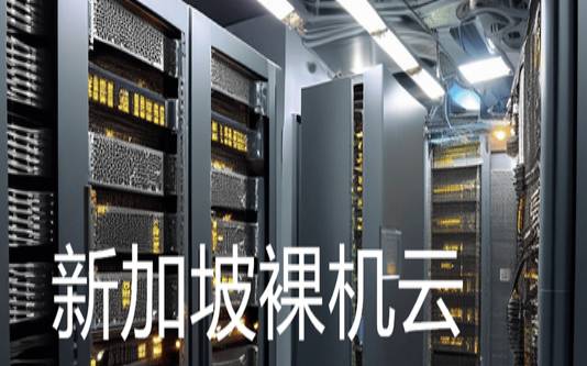 裸机云服务器是什么（裸机指的是什么计算机）