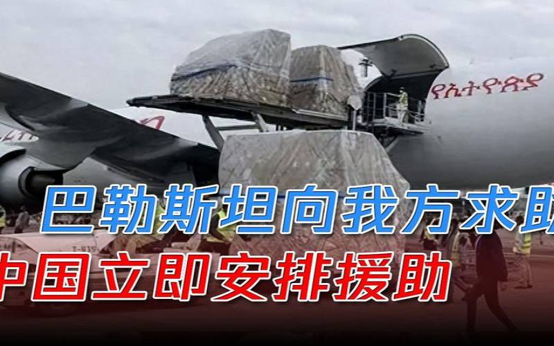 租用巴勒斯坦服务器需要注意哪些问题,巴勒斯坦购买武器 租用巴勒斯坦服务器需要注意哪些问题,巴勒斯坦购买武器