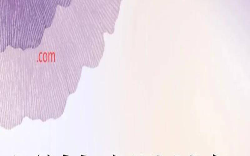 域名vip与top哪个好,top域名和com域名区别 域名vip与top哪个好,top域名和com域名区别