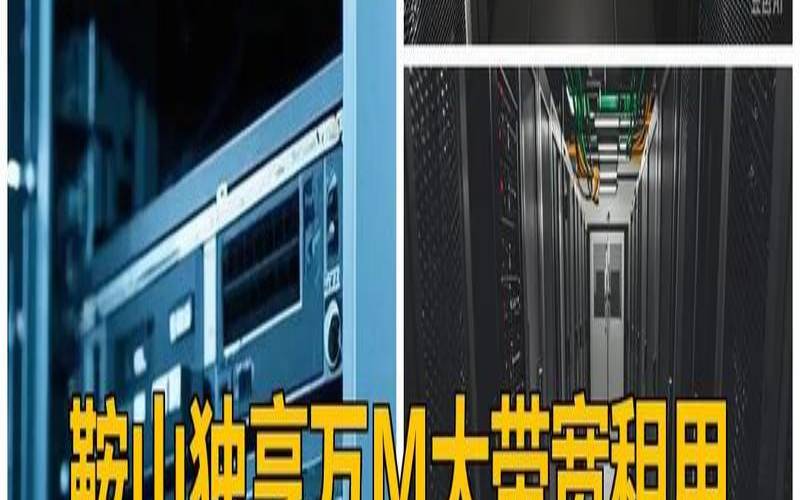无忧云高防服务器（E5 2420／16G内存／20M带宽／100Gbps防御,无视CC攻击,仅需400元／月起,建站必备）