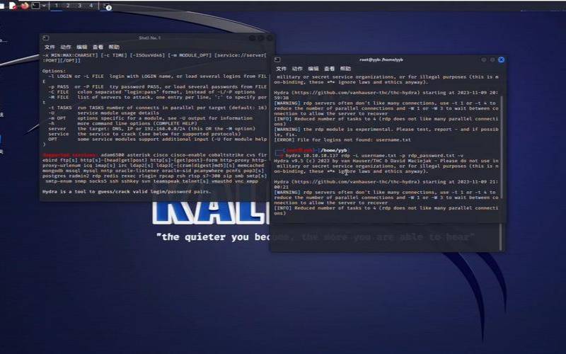 国外LinuxVPS推荐（国外用linux的人多么）