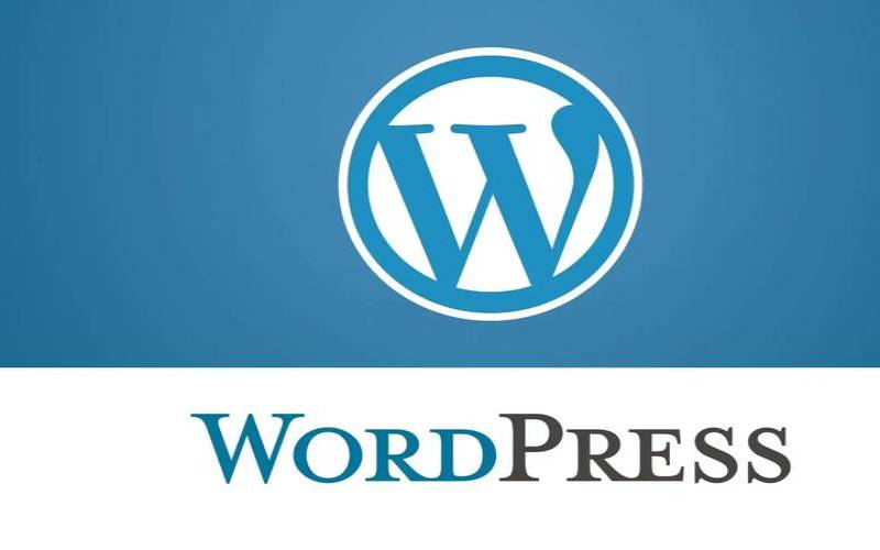 wordpress2021,WordPress主机 wordpress2021,WordPress主机