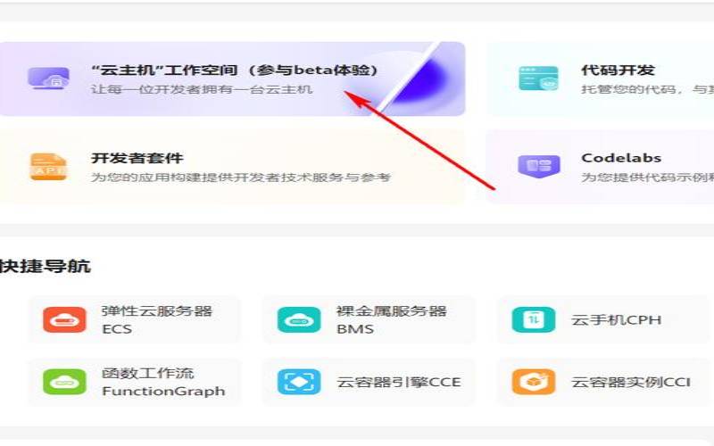 爱用云计算免费领取美国虚拟空间一年,国外免费虚拟空间 爱用云计算免费领取美国虚拟空间一年,国外免费虚拟空间