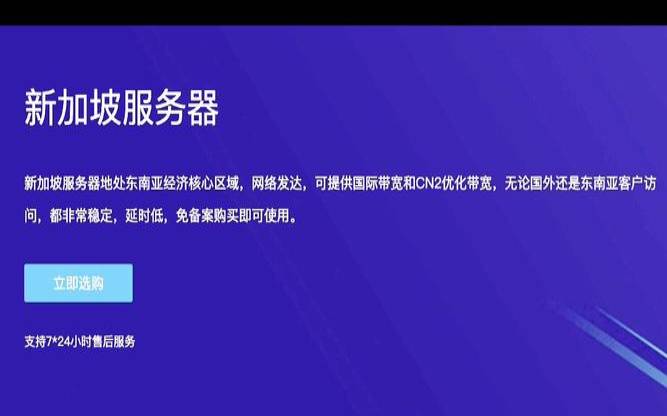 新加坡服务器怎么选择,新加坡是什么服务器 新加坡服务器怎么选择,新加坡是什么服务器