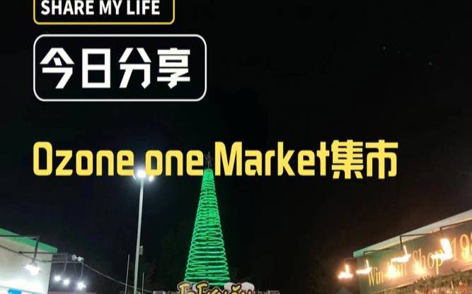 ozone摩尔多瓦