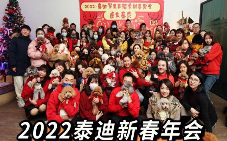 狗云DogYun新春抽奖活动（新春抽奖活动）