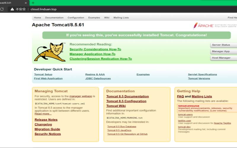 宝塔面板tomcat（tomcat8.5.59）