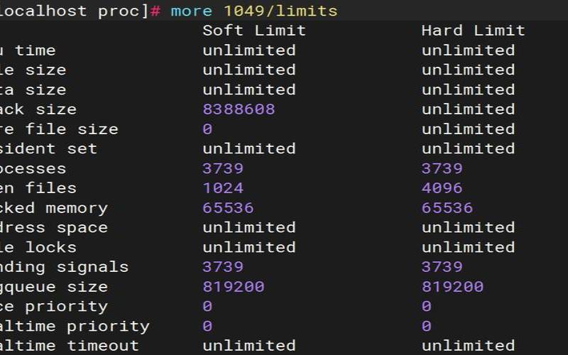 linuxproc文件夹