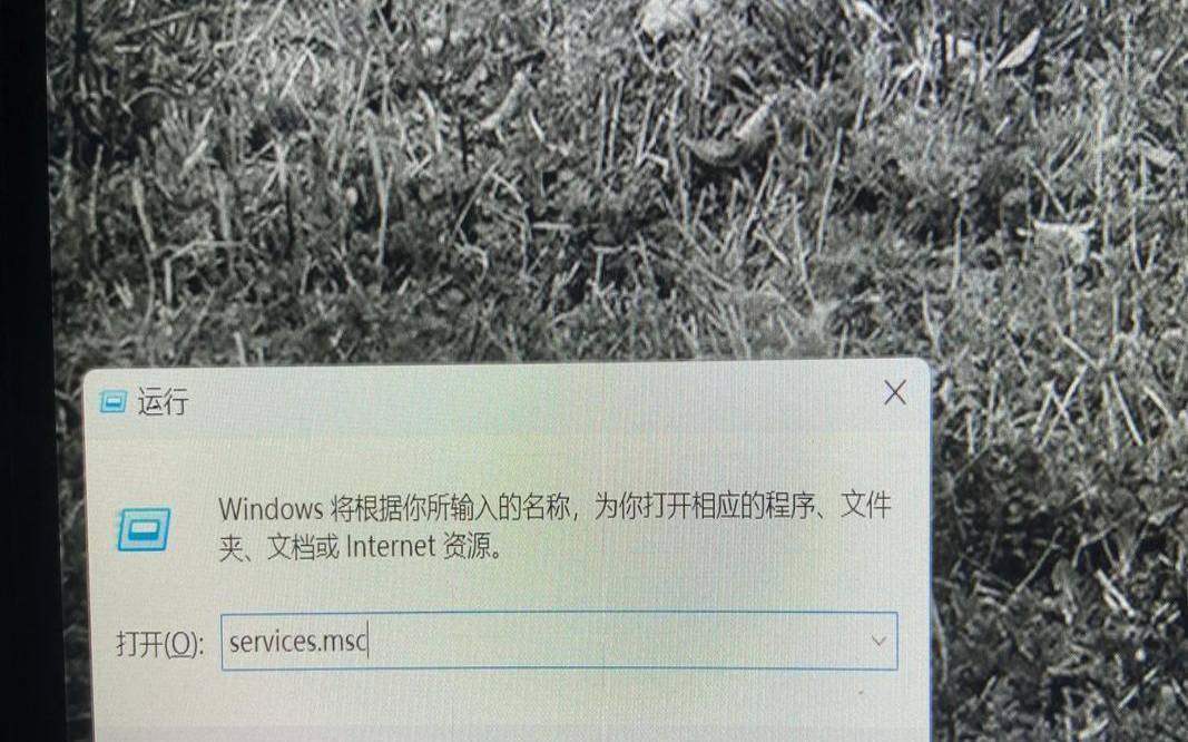 win11升级检测失败（windows更新检测不到win11）