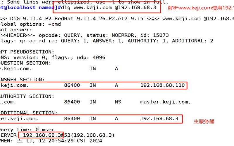 如何设置自定义的域名服务器名称（怎么设置域名服务器）