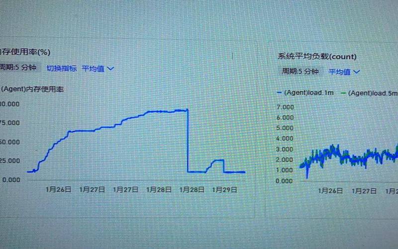 优化服务器内存使用效率的策略有哪些（服务器优化技术有哪些）