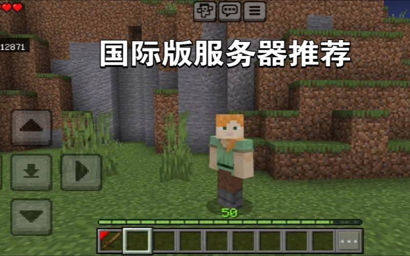 我可以在我的世界（我的世界服务器可以联机吗）