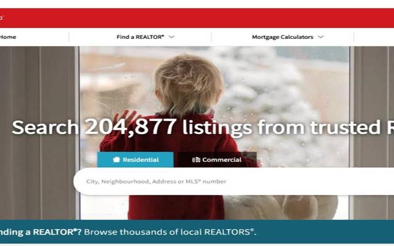 加拿大网站搭建