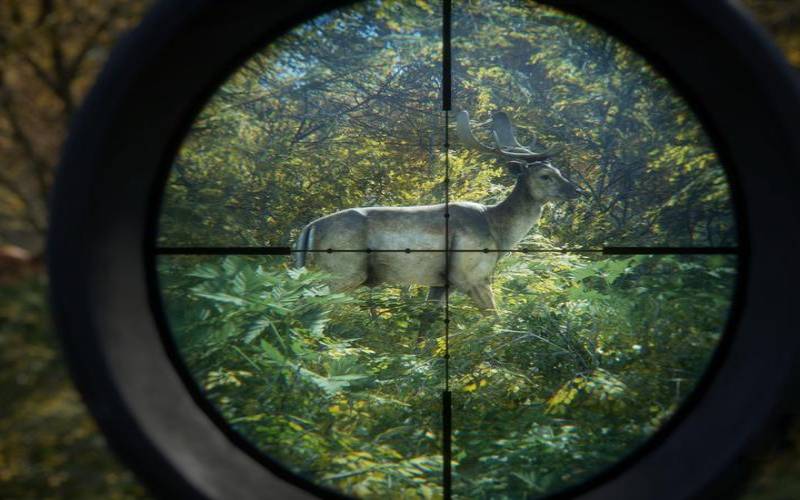 什么是TTP狩猎（狩猎什么意思）