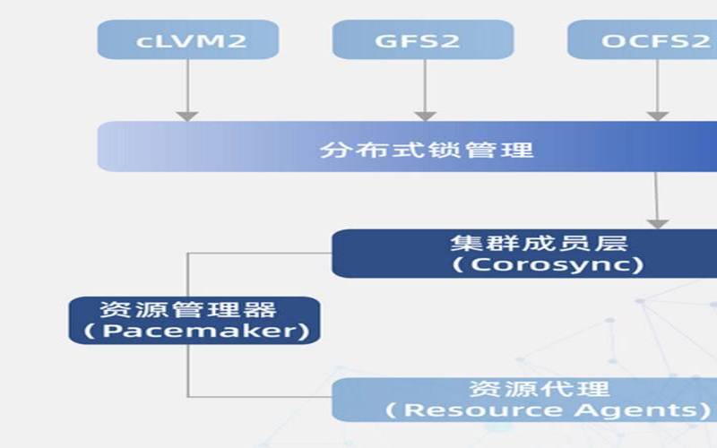 如何选择合适的网络适配器（服务器性能优化）
