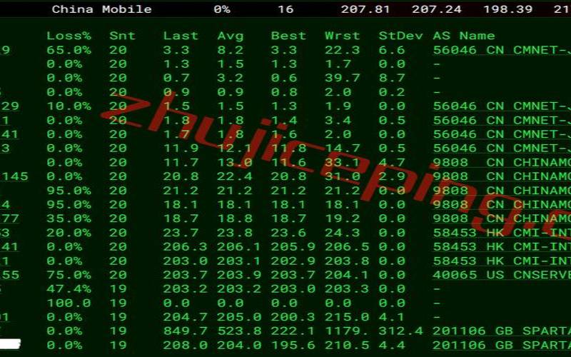 spartanhost黑五（美国高防vps主机）
