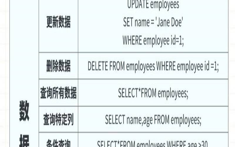 什么是SQL标准（sql是什么的标准语言）