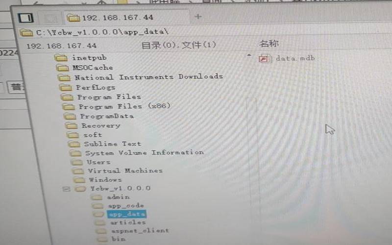 网站服务器有哪些漏洞（web服务器上的漏洞）