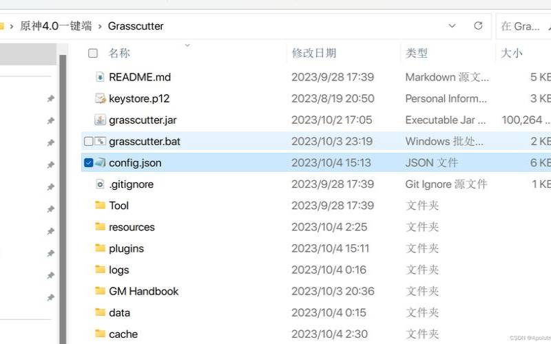 搭建原神私人服务器需要注意哪些（原神服务器成本）