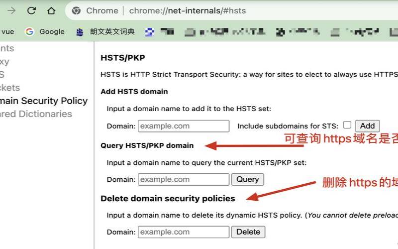 google浏览器https