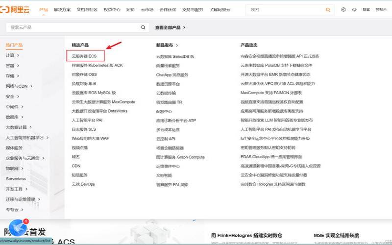 什么是名称服务器（服务名服务器名）