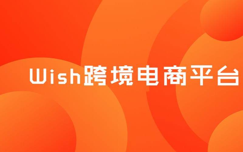 法国microvention（wish跨境电商平台官网）