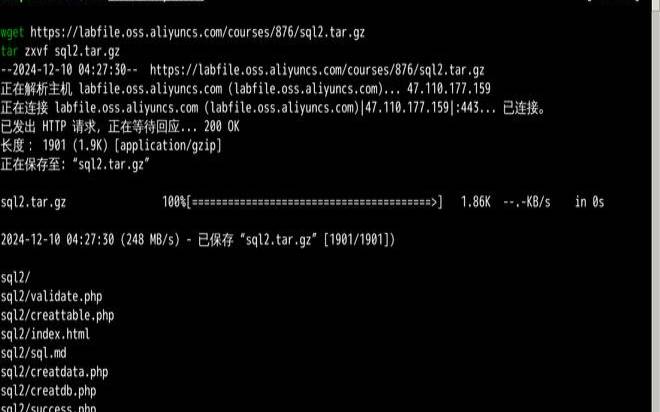 什么是sql注入攻击