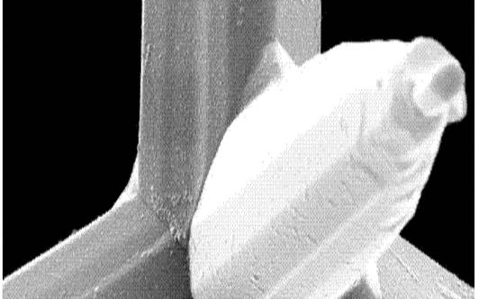 什么是锌晶须以及它们如何影响数据中心（锌是什么晶格类型）