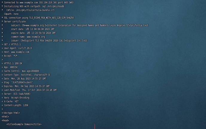 linuxcurl是什么（linux中curl用法）