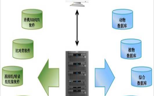 了解生物信息分析服务器的搭建流程（生物信息数据分析服务）