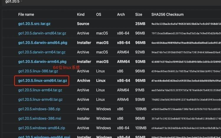 Linux系统中如何安装和配置golang环境（linux配置go环境变量）