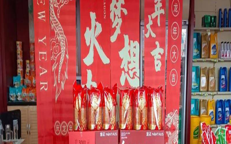 Raksmart新年专享充值活动（充10送10美元充50送30美元）