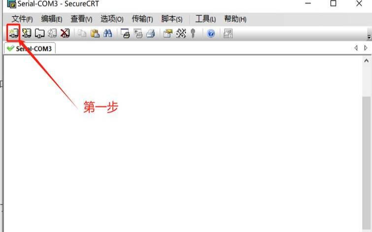 secureidc的简单介绍（securedecent）