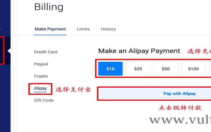 Vultr暂停支付宝充值（vultr不能用支付宝）