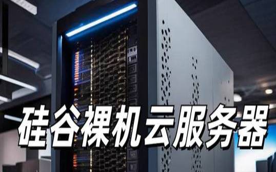 什么是裸机云（什么是裸机云服务）